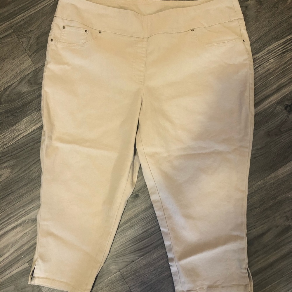 Women’s Size 20W Ruby Rd Capri Pants